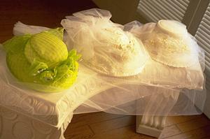 パタゴニアなどの衣料品の小売販売店の紹介